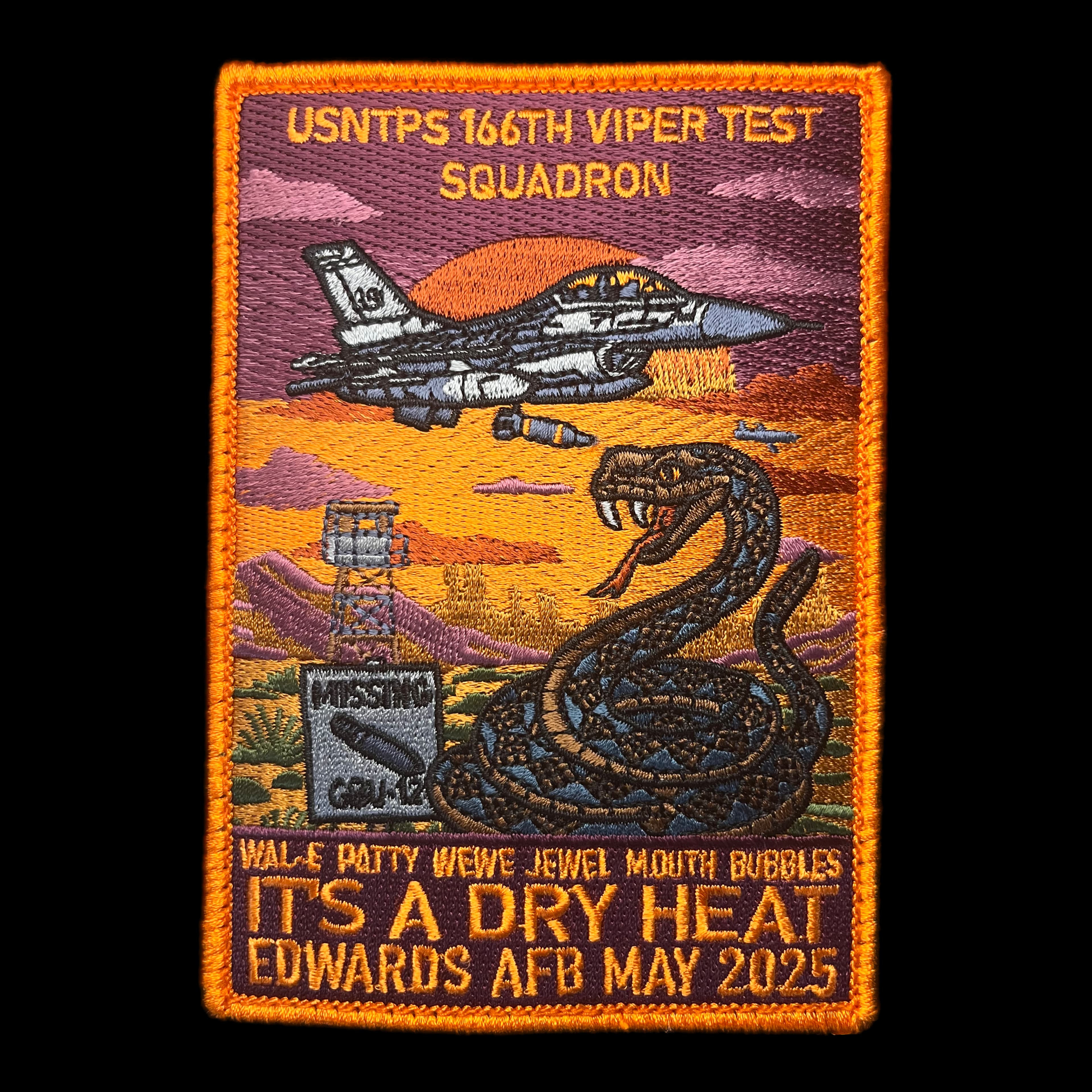 166th Viper Test Squadron naval aviation embroidered command patch