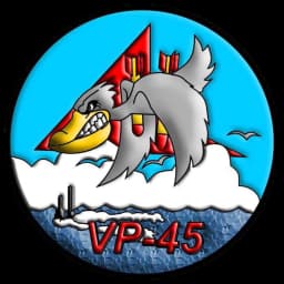Squadron Logo